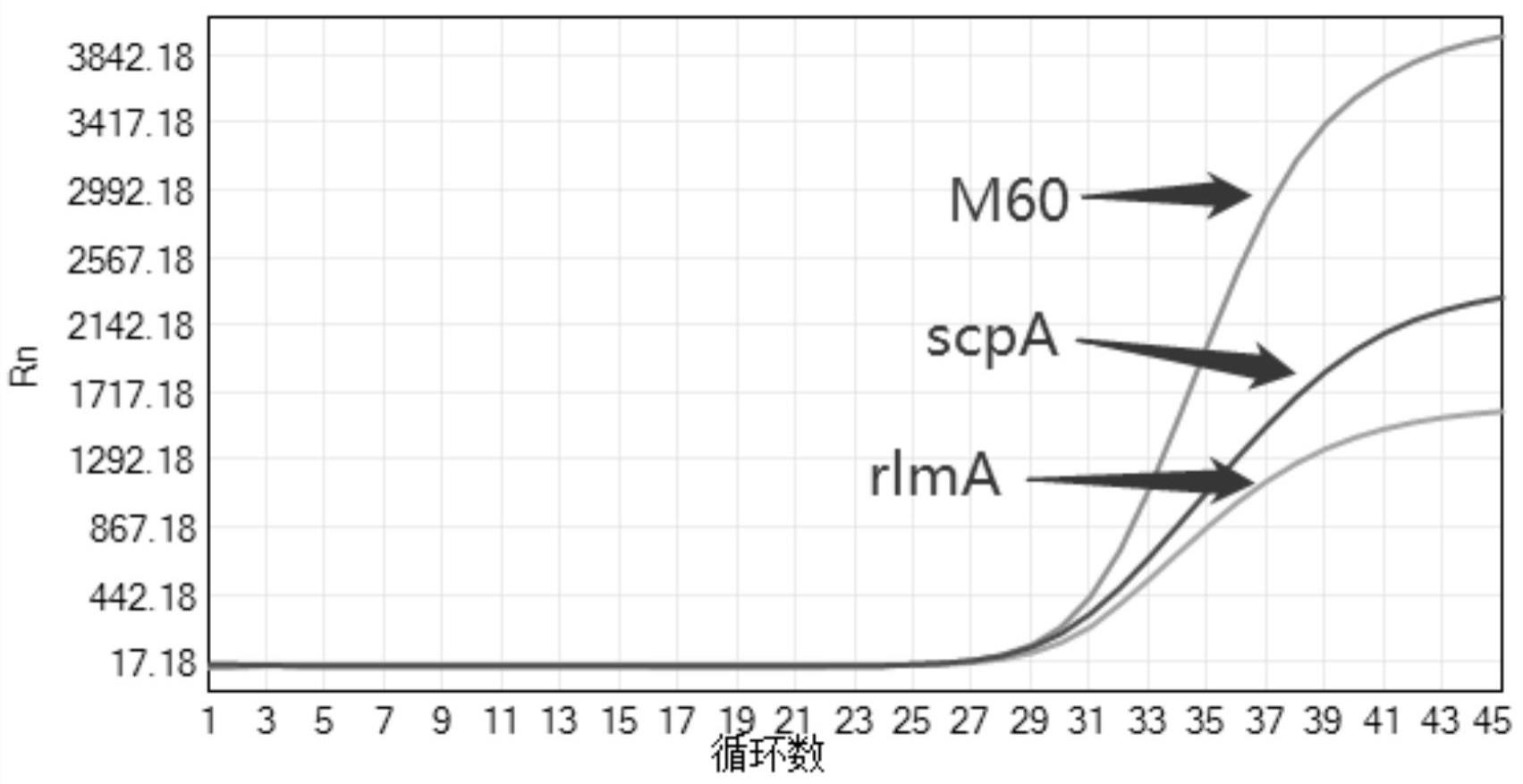 血流感染病原体联检并区分的组合物、试剂盒及用途的制作方法