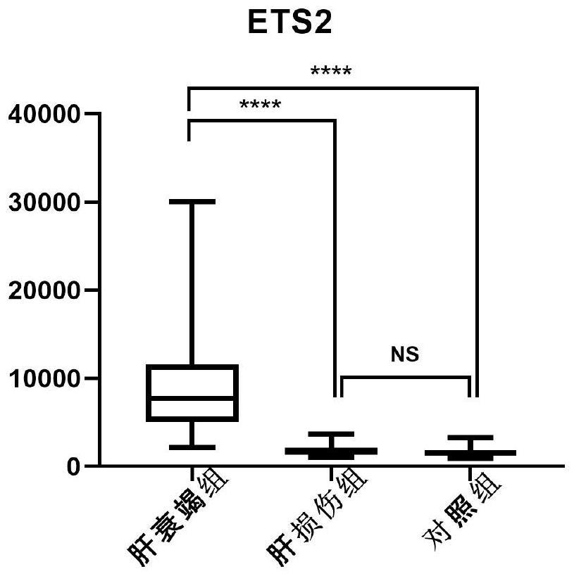 ETS2分子标志物在制备判断肝衰竭危险分层试剂的用途及试剂盒及应用