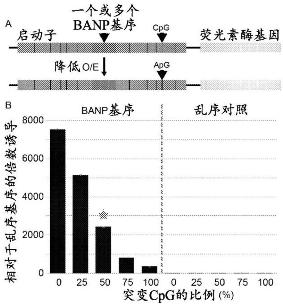 利用孤儿基序和CpG密度的组合来控制异源转基因的表达的制作方法