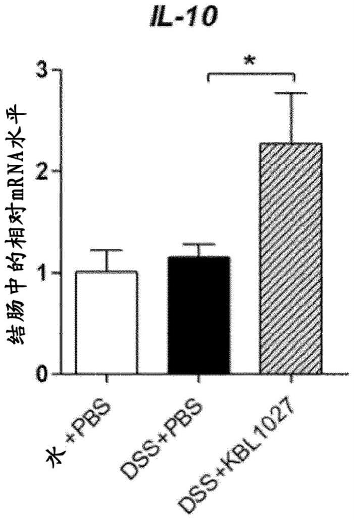 普氏栖粪杆菌菌株及其用途的制作方法