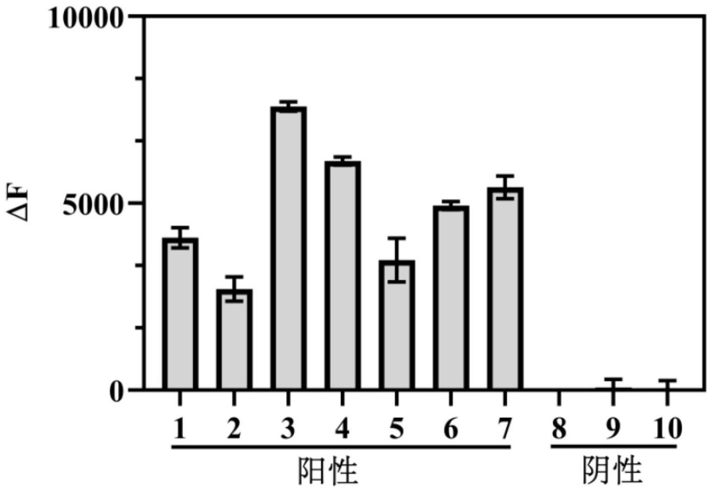 一种基于CRISPR/Cas13a和无酶恒温扩增的病毒RNA一步快速检测方法