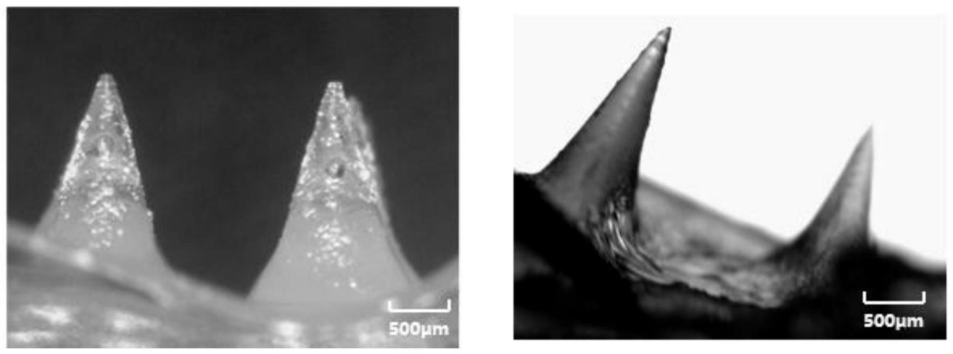 一种高精度光固化3D打印丝素蛋白基生物墨水