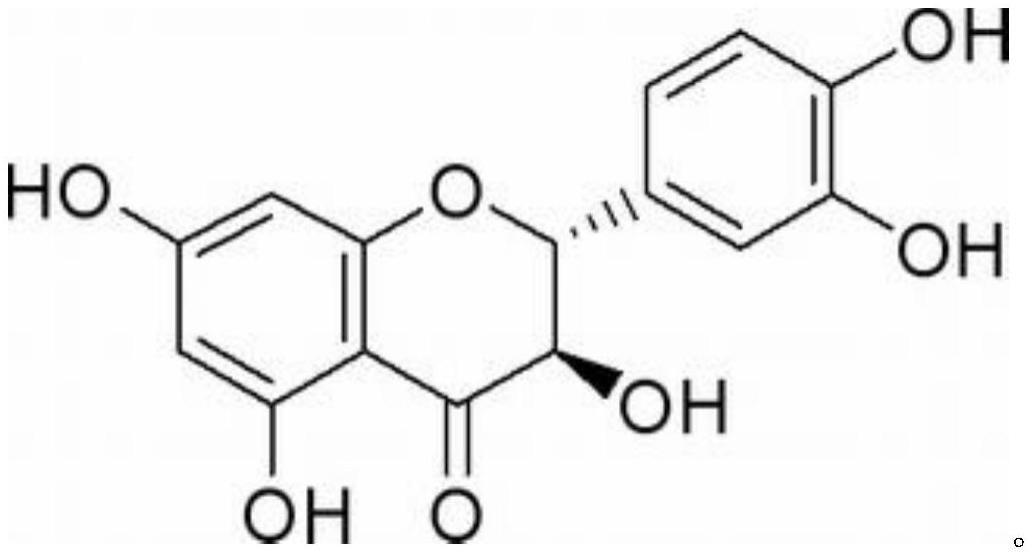 花旗松素在制备抗鸡毒支原体、鸡滑液囊支原体药物中的应用的制作方法