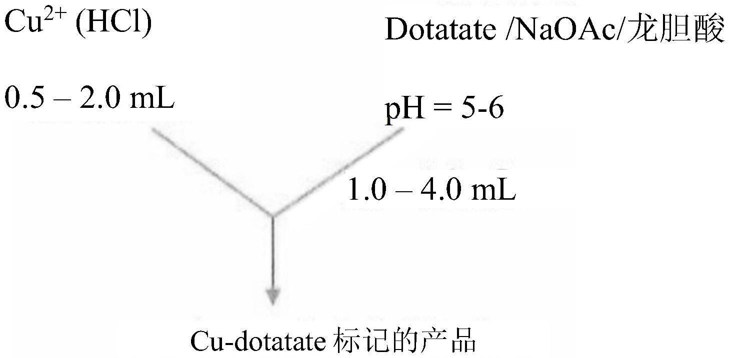 用于64Cu-DOTATATE放大规模的放射性标记和制剂的制作方法