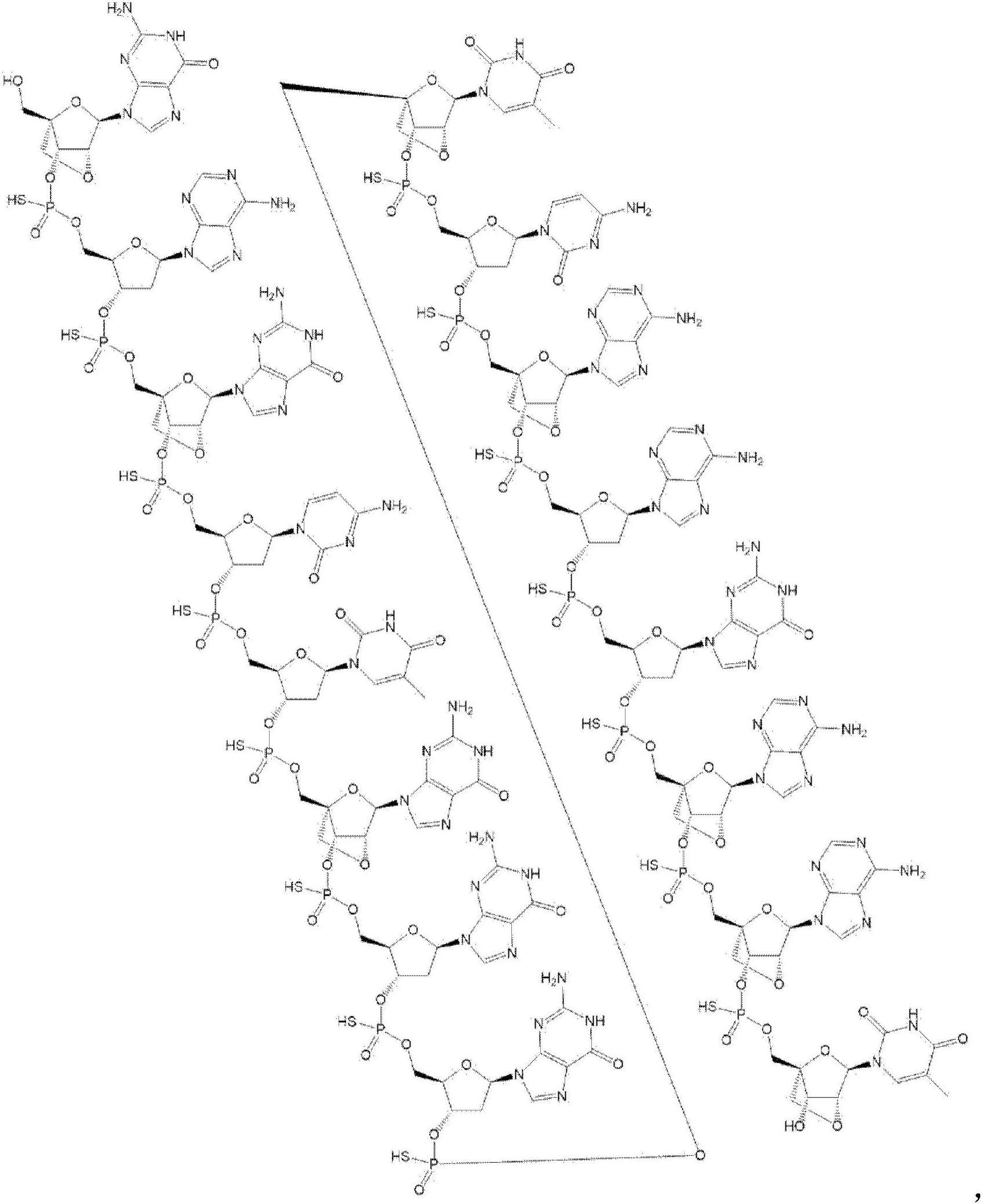 靶向颗粒蛋白前体的反义寡核苷酸的制作方法