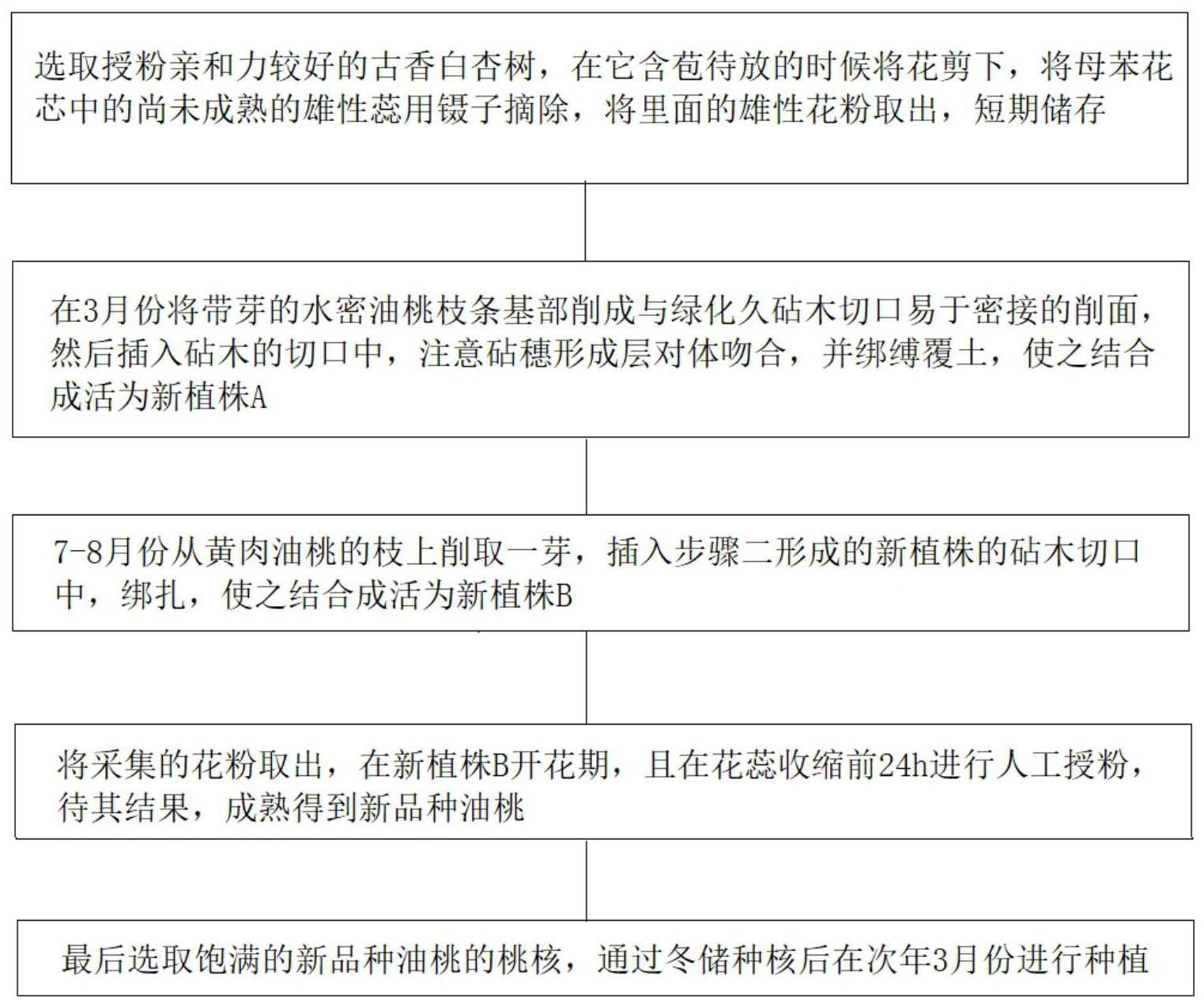 一种新品种油桃的培育方法与流程