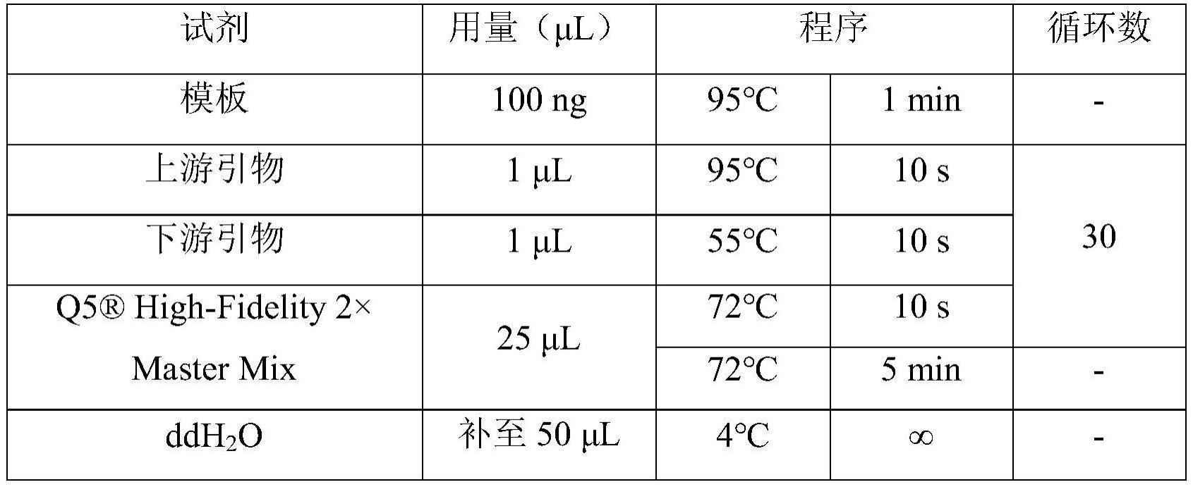 一种抗Glypican3抗体及其应用的制作方法