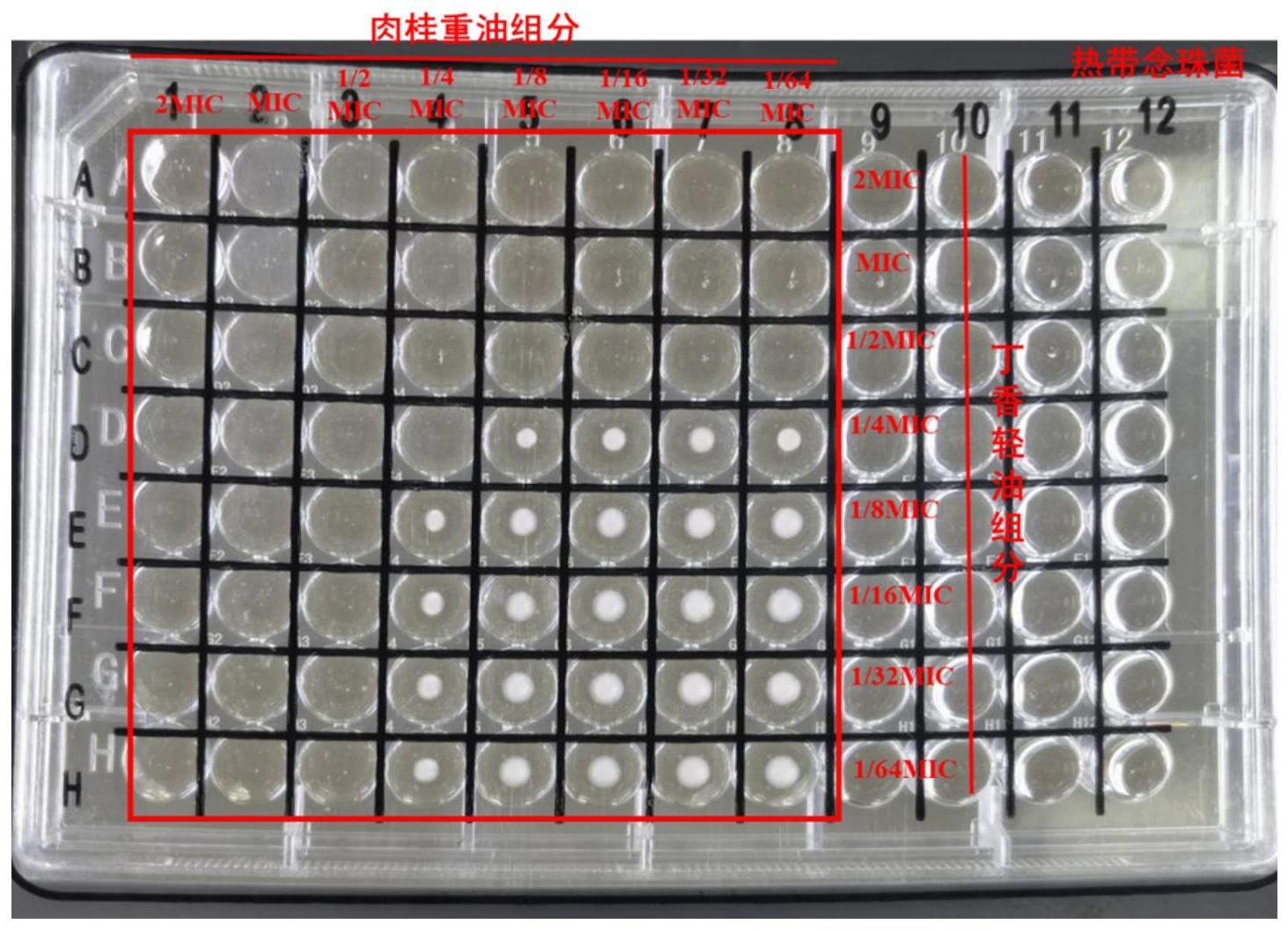 一种具有抗念珠菌活性的植物精油组合物及其制备方法与应用