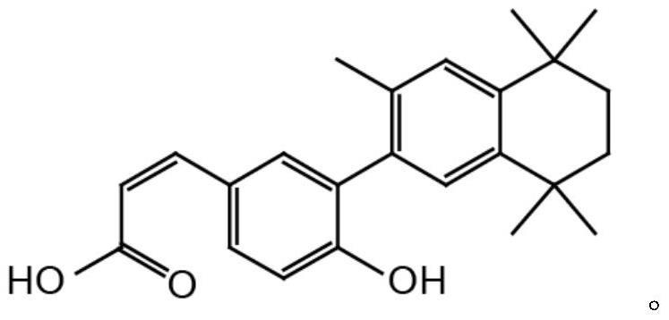 利用CD3254激活RNA外切体驱动体细胞重建多能性