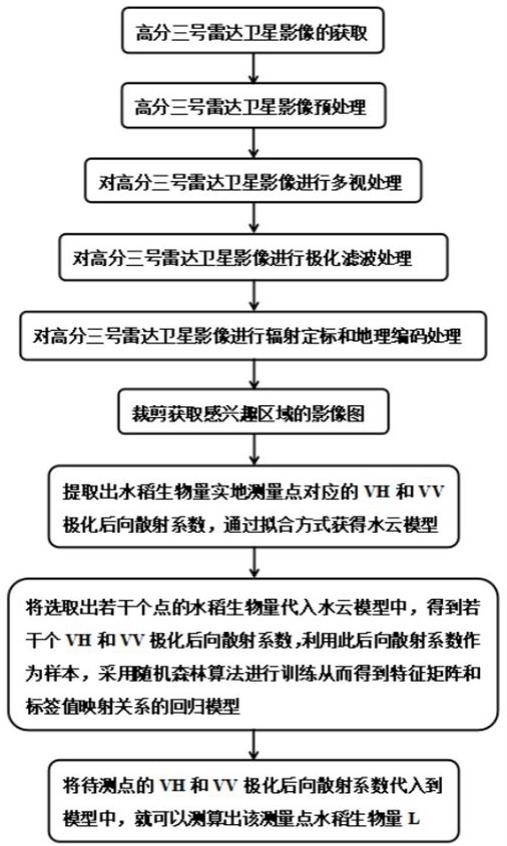 基于高分三号雷达卫星影像的水稻生物量反演测算方法