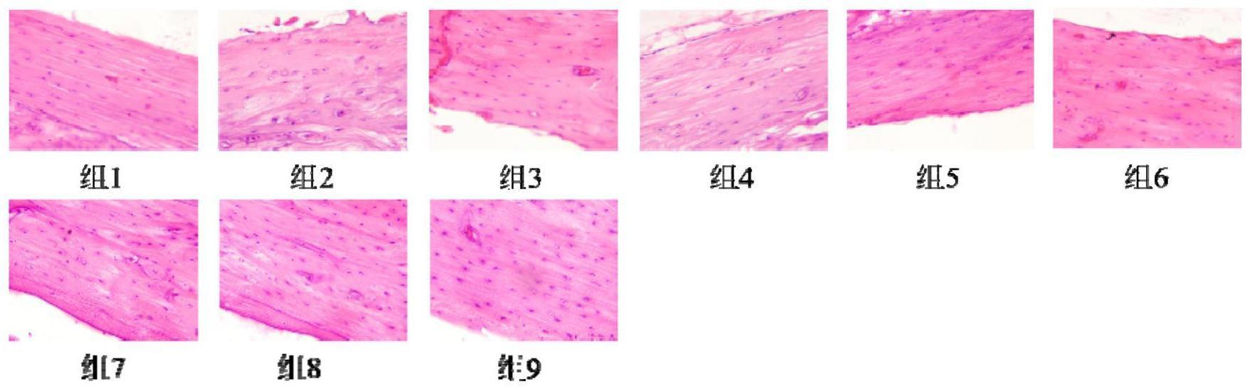 一种预防老年骨质疏松的营养包制剂及其应用的制作方法