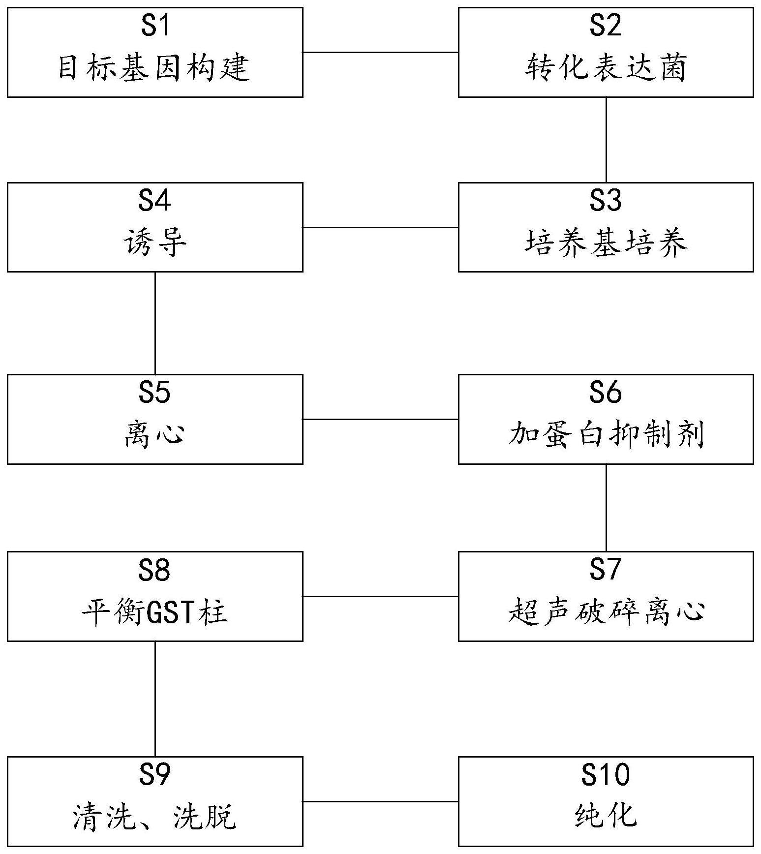 一种重组蛋白生产工艺的制作方法