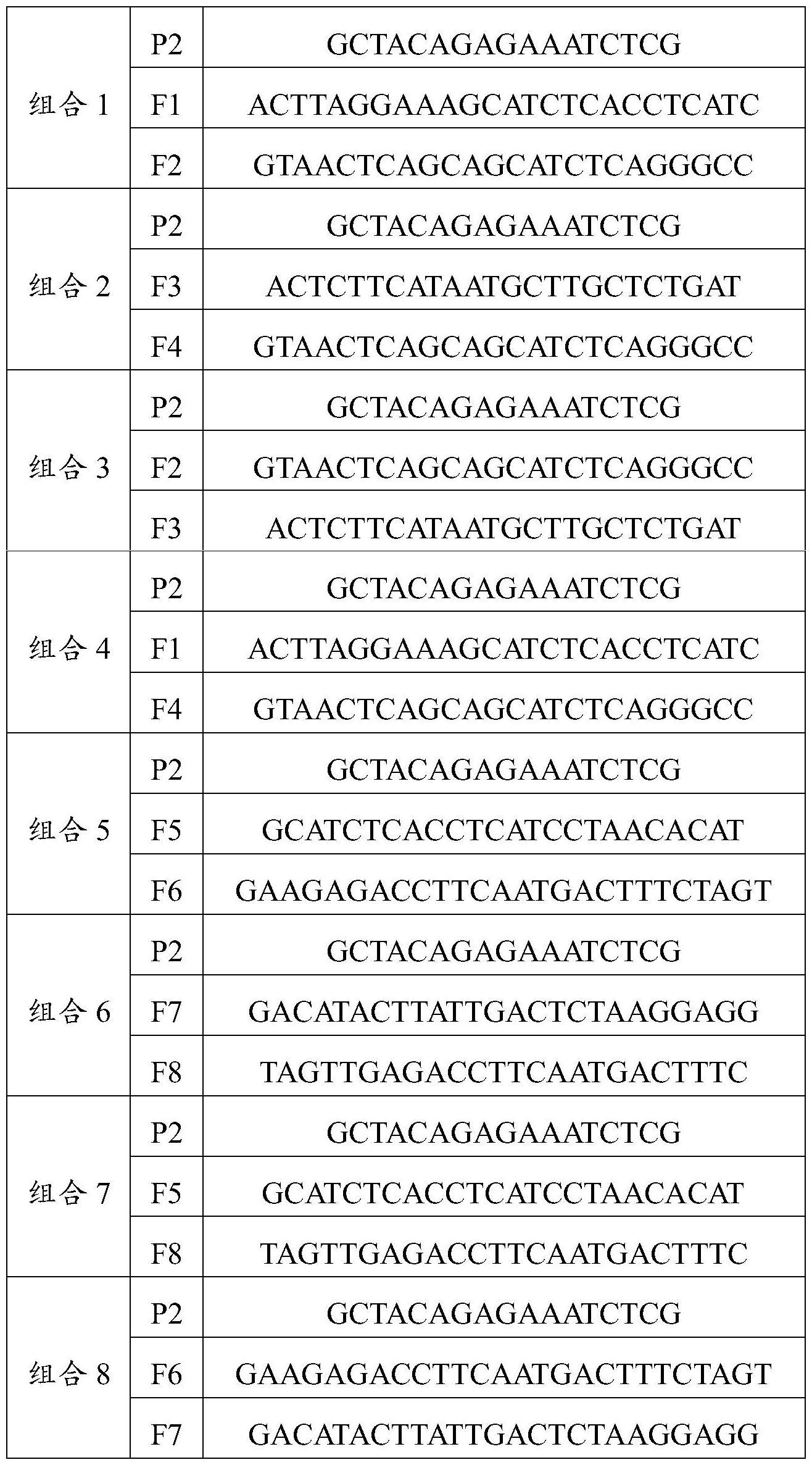 检测BRAF基因突变的引物探针组及其试剂盒的制作方法