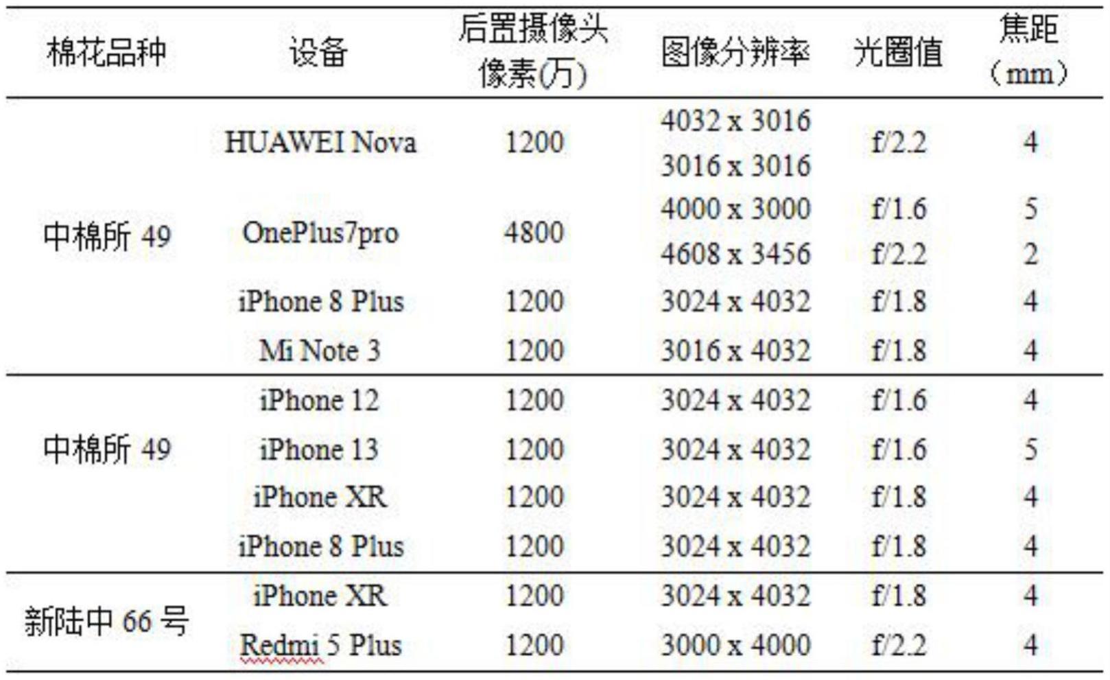 一种棉花苗蚜危害快速识别方法