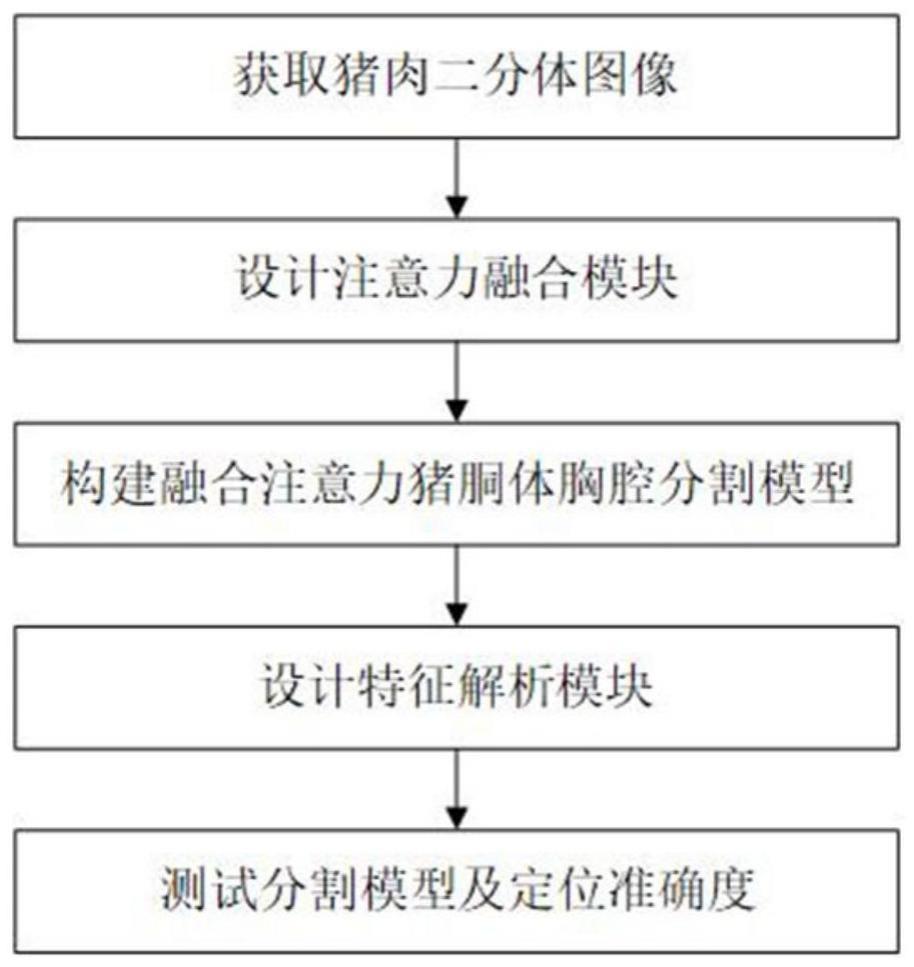 一种深度学习与图像处理相结合的猪胴体背膘厚度测量位置自动定位方法