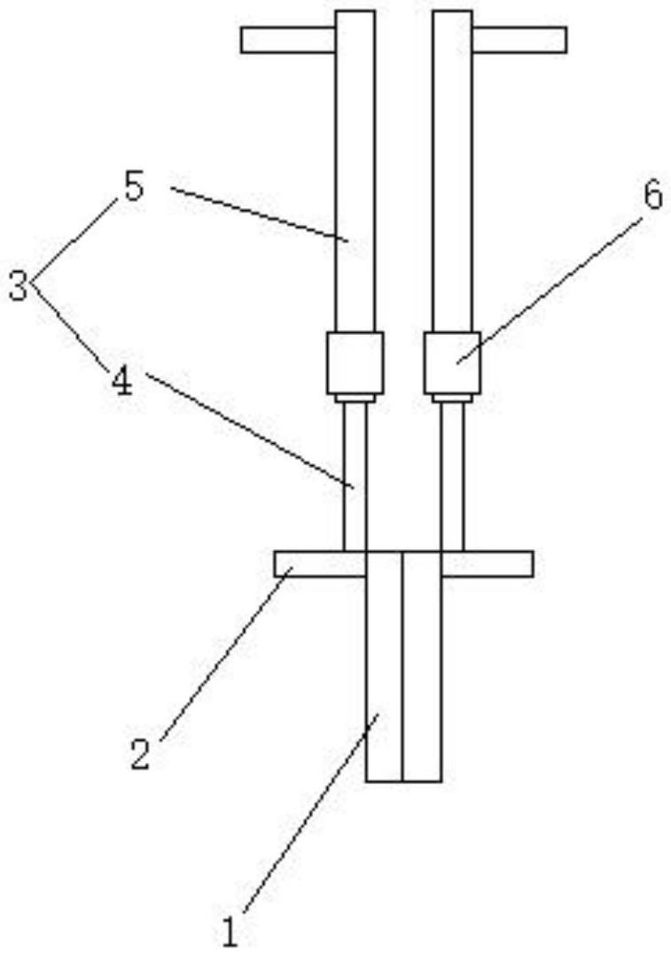 一种金钱树移苗工具的制作方法