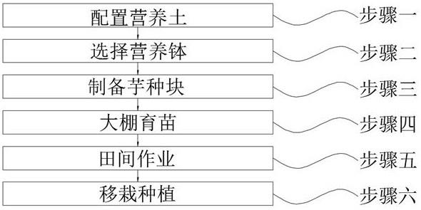 一种香芋的种植方法与流程