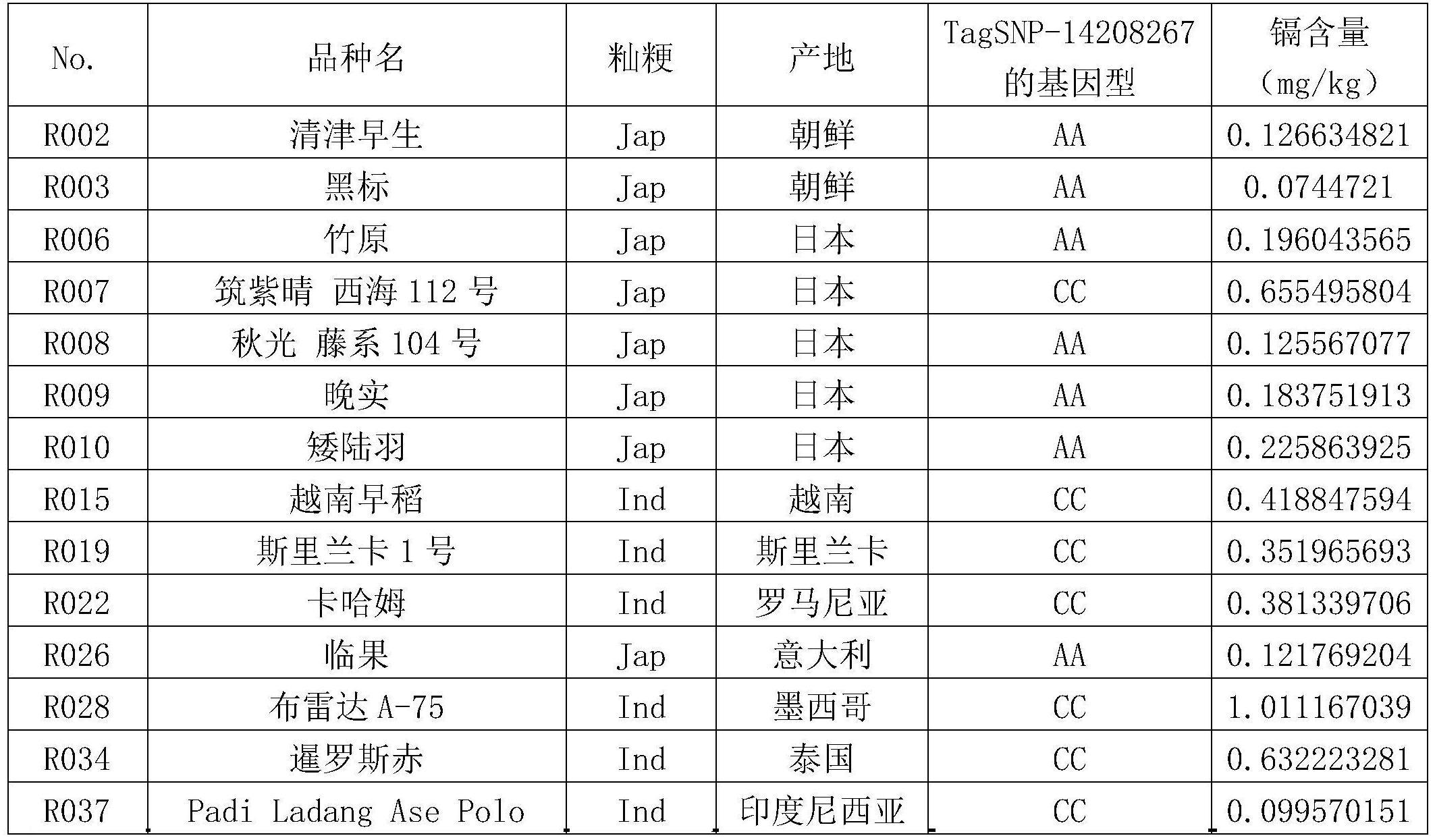 水稻籽粒镉含量相关基因LCd7的联合单倍型分子标记及其应用