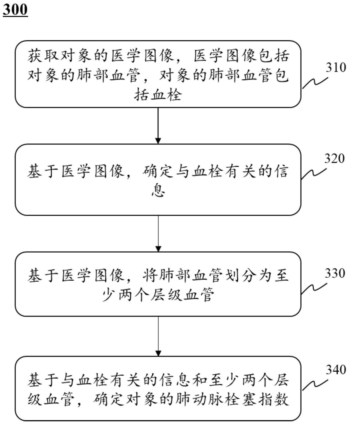 一种确定肺动脉栓塞指数的系统及方法与流程