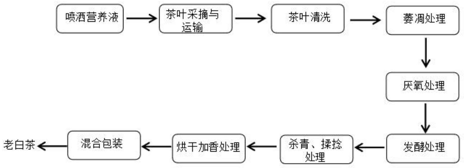 一种老白茶生产加工工艺的制作方法