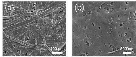 一种纳米细菌纤维素疏水防油纸及其制备方法