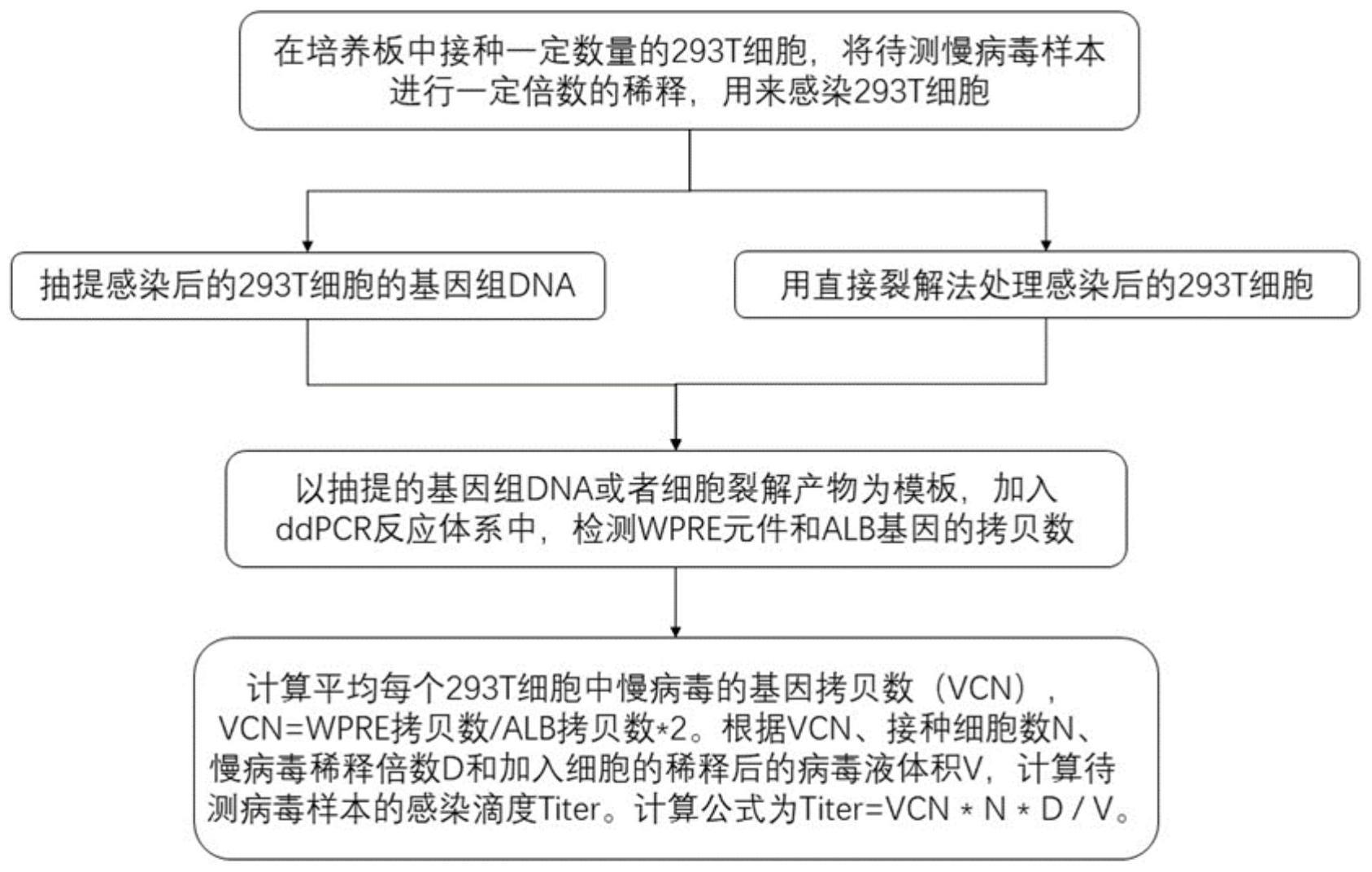 一种用于检测慢病毒感染滴度的组合物、检测试剂、检测试剂盒及ddPCR检测方法与流程