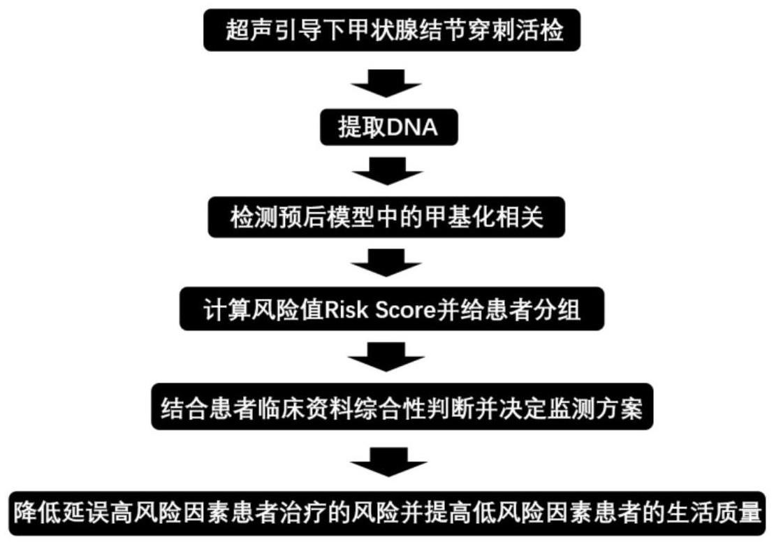 一种分化型甲状腺癌的基因甲基化预后评估模型及其构建方法