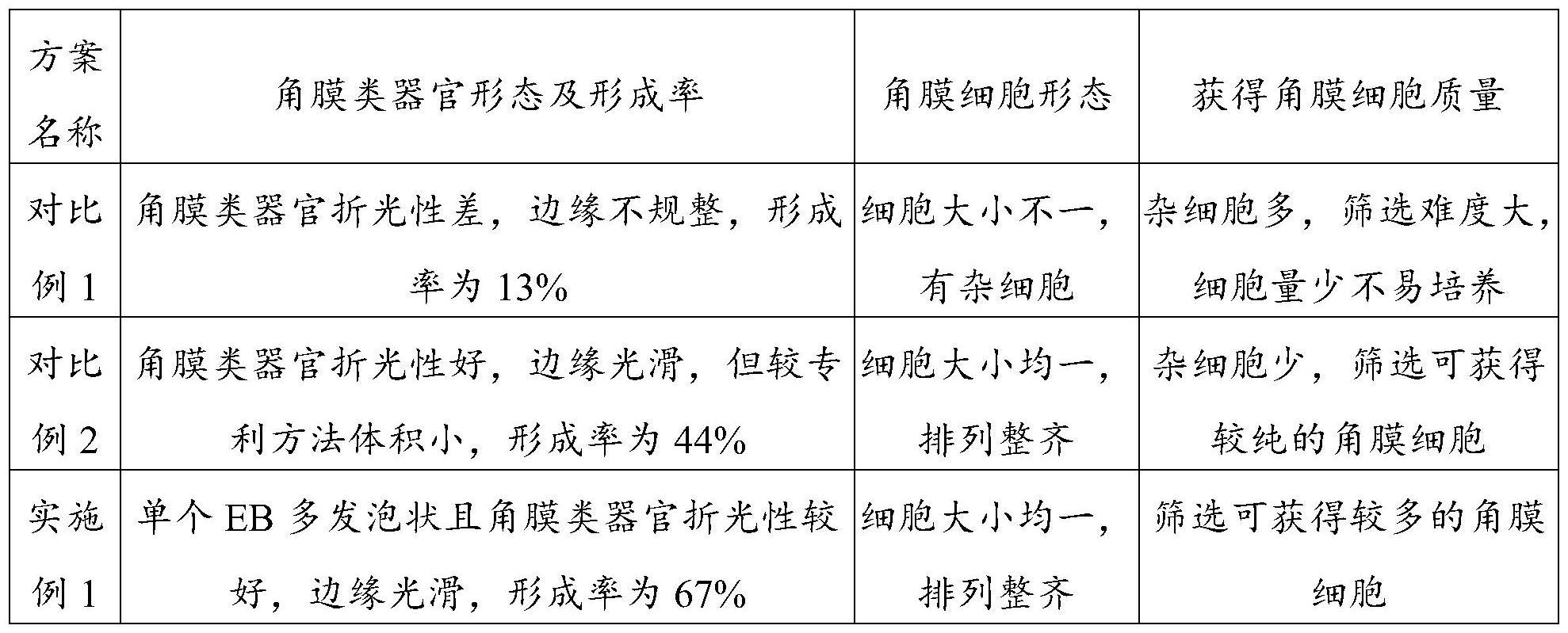 角膜类器官的制备及其在制备组织工程角膜上皮片层中的应用的制作方法