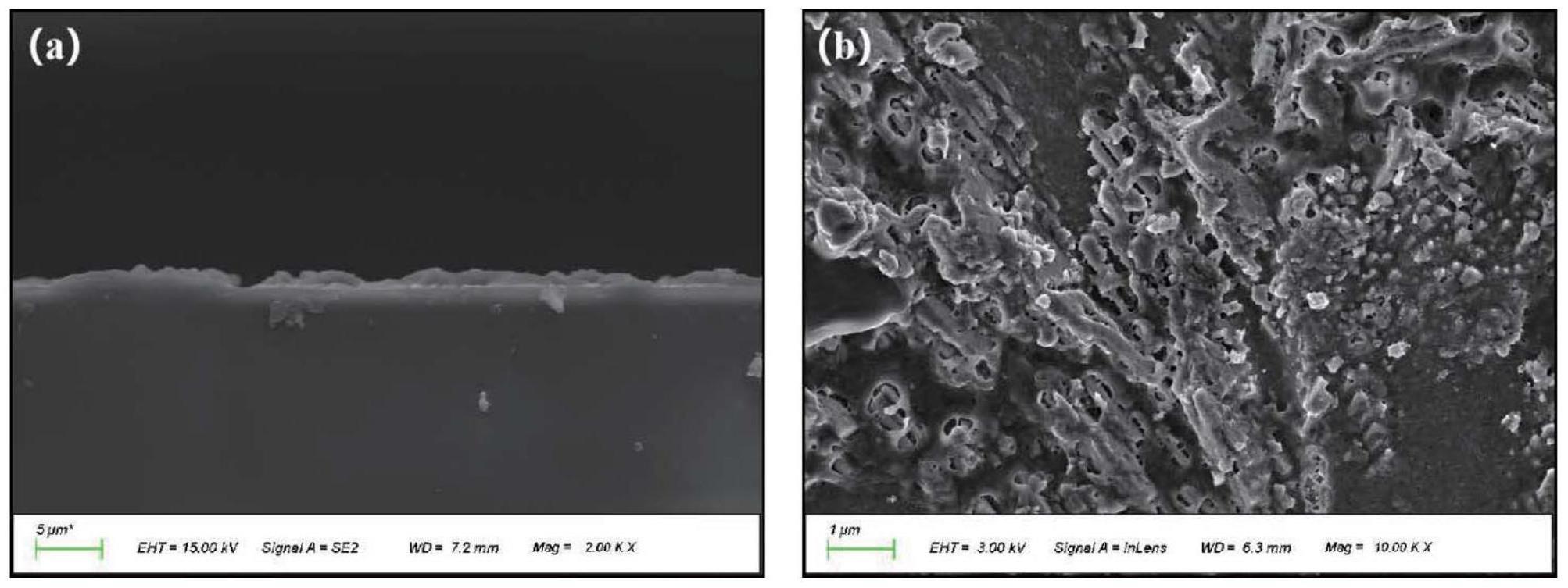 一种纤维素纳米晶超亲水涂层、制备方法及应用