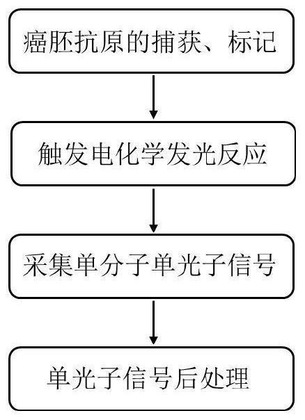 一种基于电化学发光的单分子检测方法