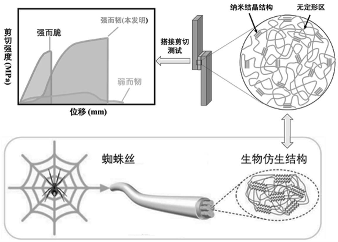 一种全生物基强韧聚酯热熔胶及其制备方法与流程