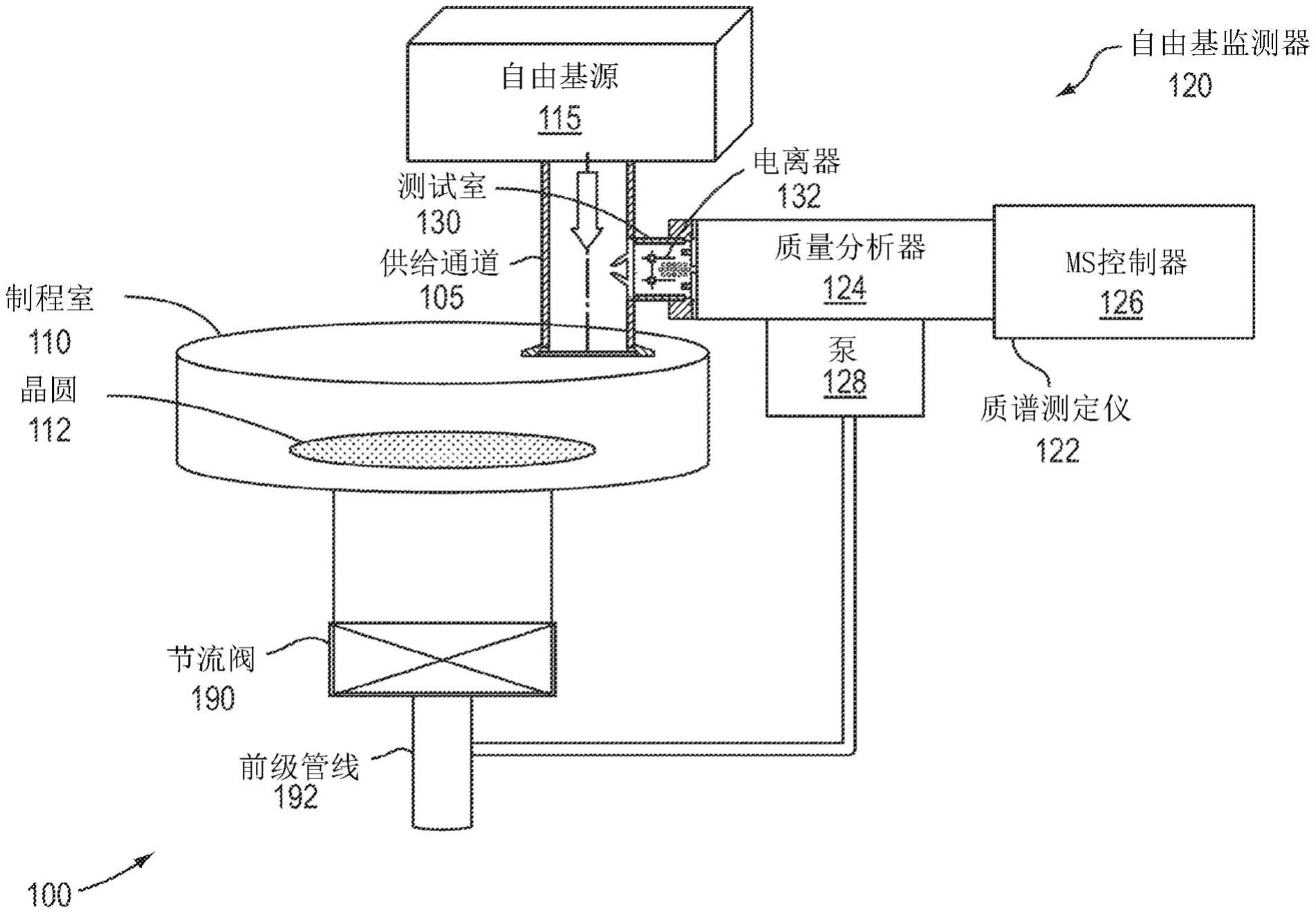 使用质谱测定法监测自由基粒子浓度的制作方法