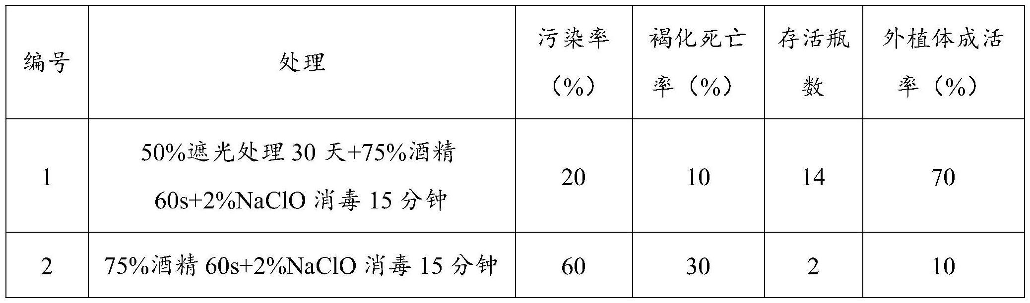 一种红花荷的组织培养方法与流程