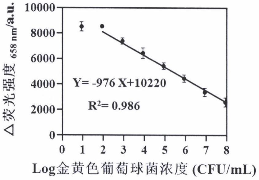 一种基于瞬间稳态上转换荧光传感器同时检测鸡肉中鼠伤寒沙门氏菌和金黄色葡萄球菌的方法及装置