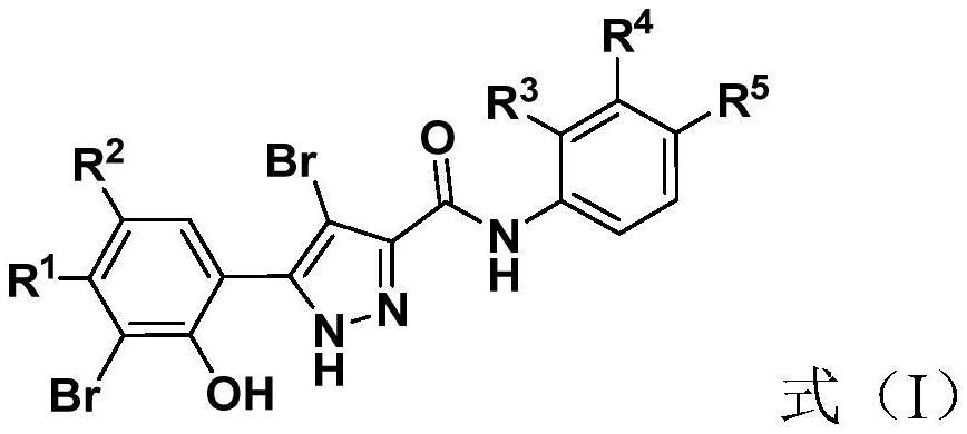多溴代N-苯基-5-邻羟苯基吡唑-3-羧酰胺类化合物及其制备方法和应用