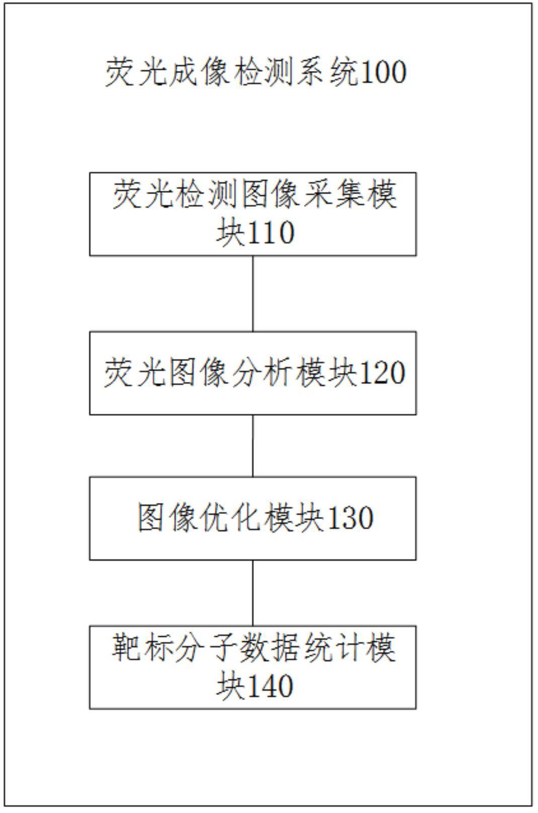 一种荧光成像检测系统及其方法与流程