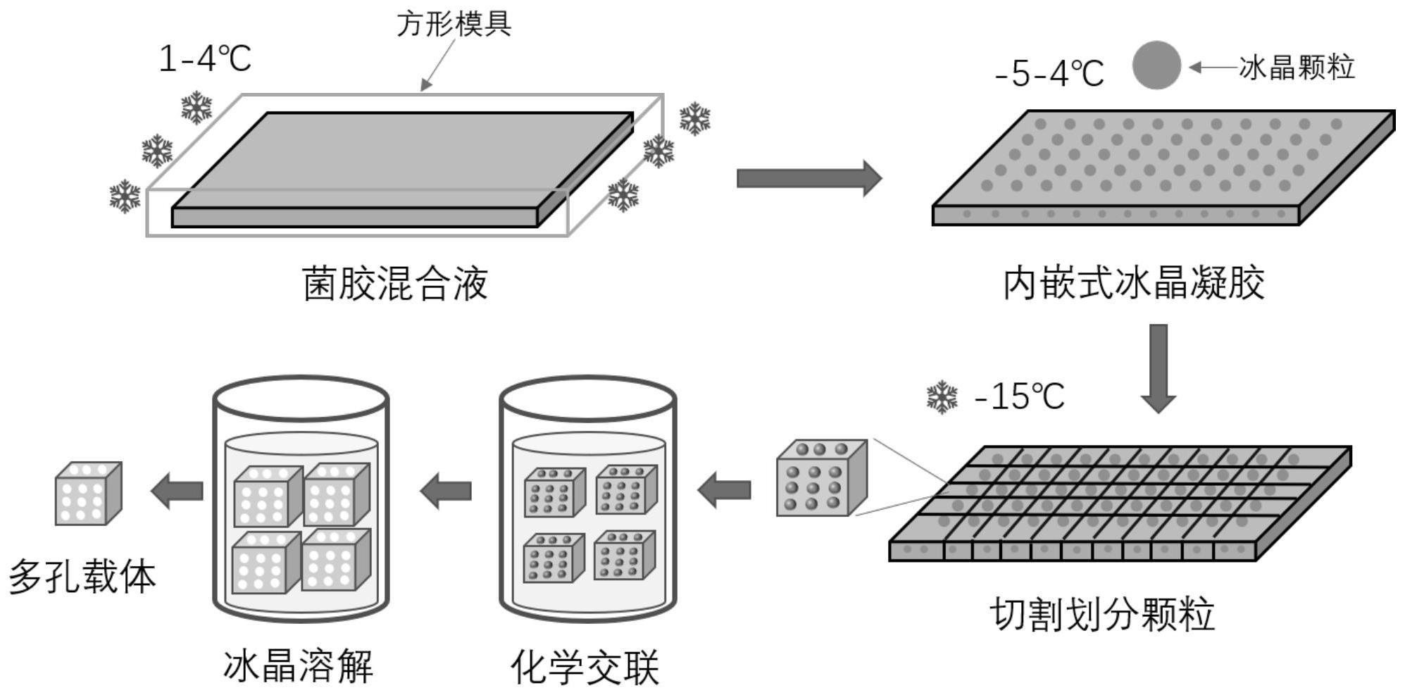 一种冰晶内嵌式微生物包埋凝胶的制备方法及其应用与流程