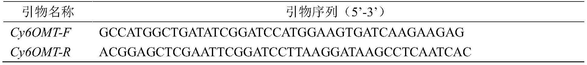 氧甲基转移酶Cy6OMT及其在催化苄基异喹啉生物碱中的应用