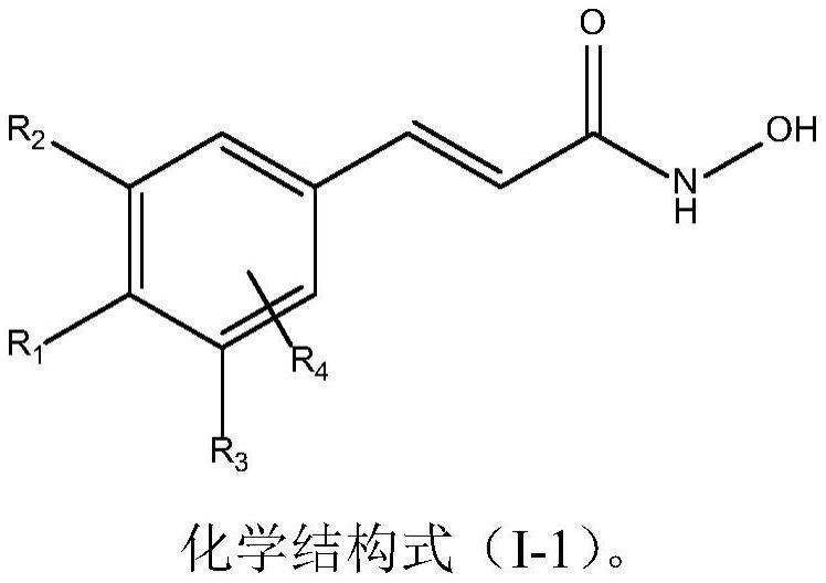 肉桂酰菌素及其在治疗细菌感染中的应用的制作方法