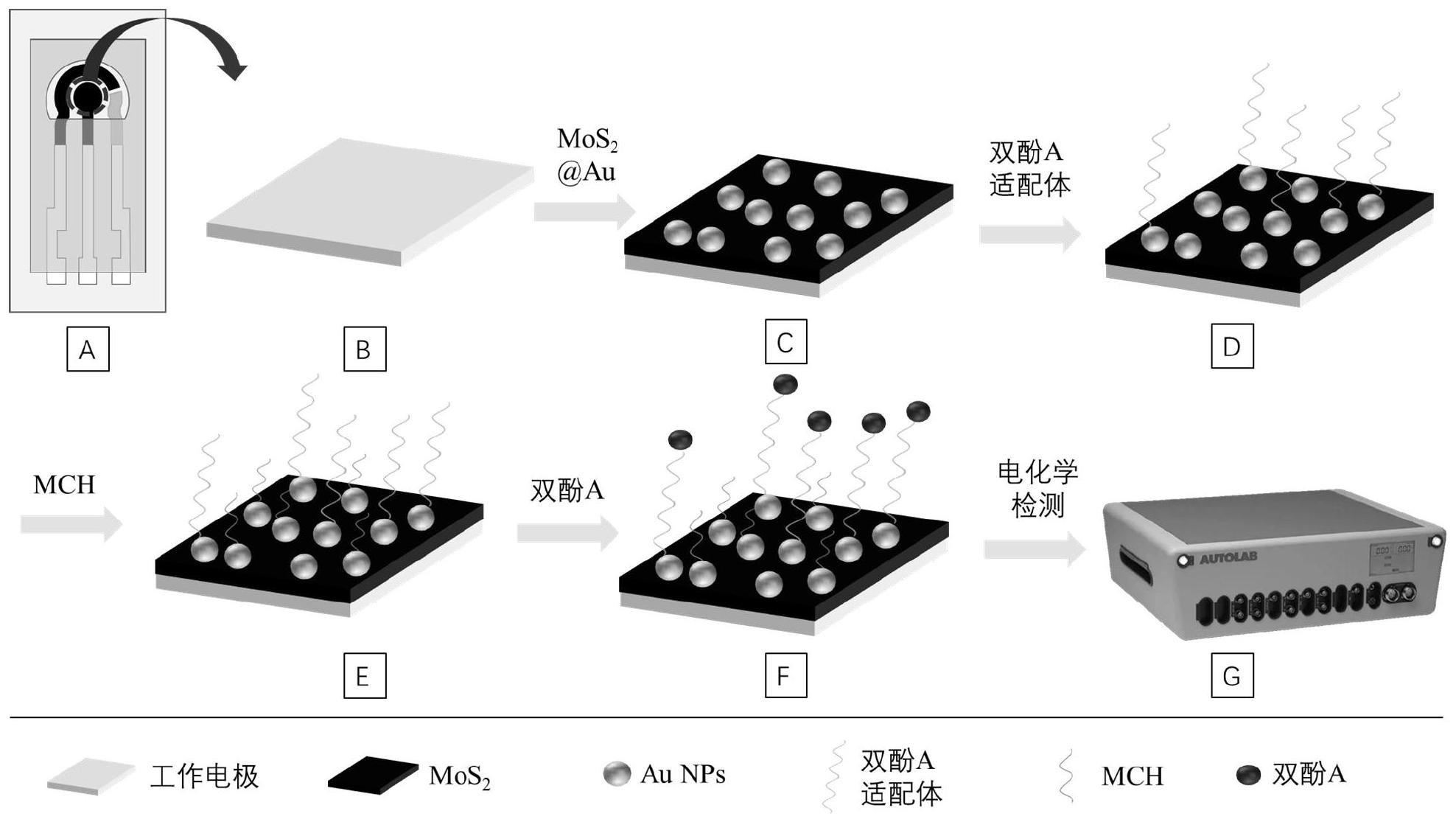 基于丝网印刷电极的双酚A适配体传感器及其制备方法