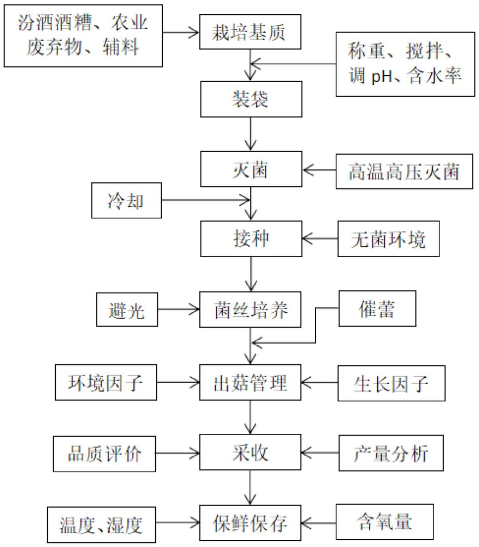 一种汾酒酒糟食用菌栽培基质及其栽培方法