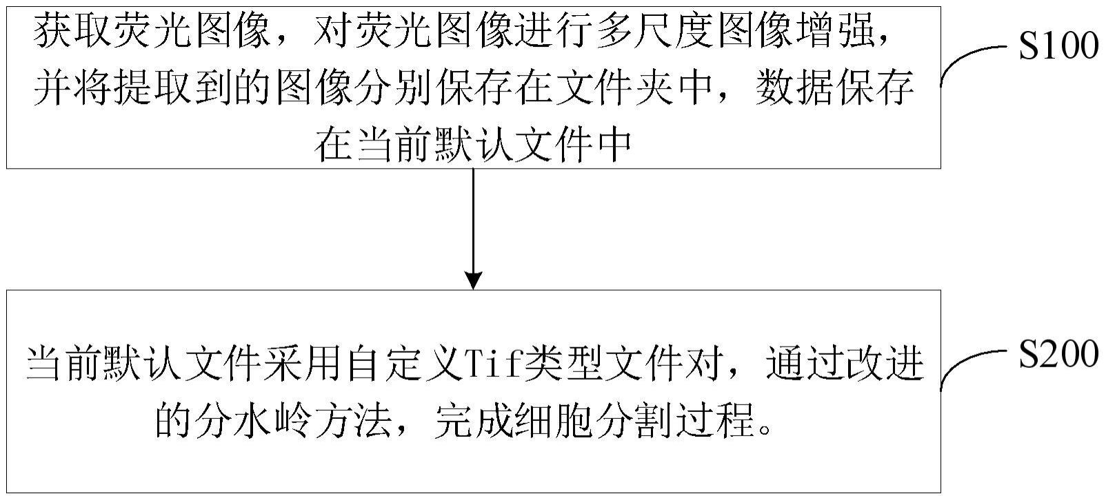 一种荧光图像细胞快速分割方法和系统与流程