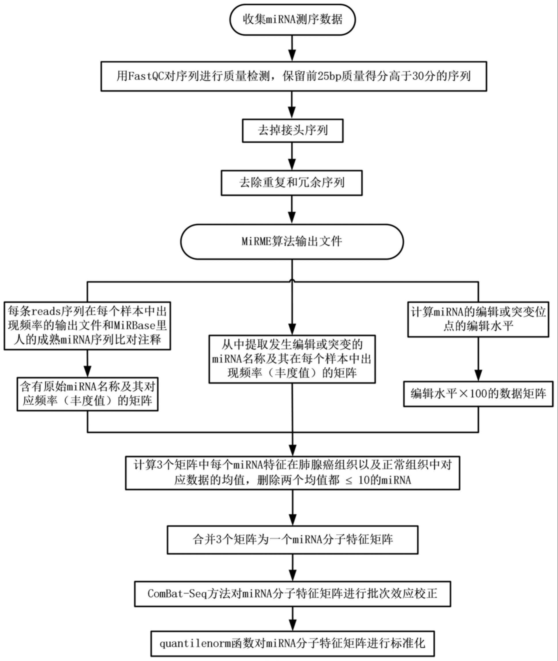 一种基于多种microRNA分子特征的肺腺癌机器学习分类模型的制作方法