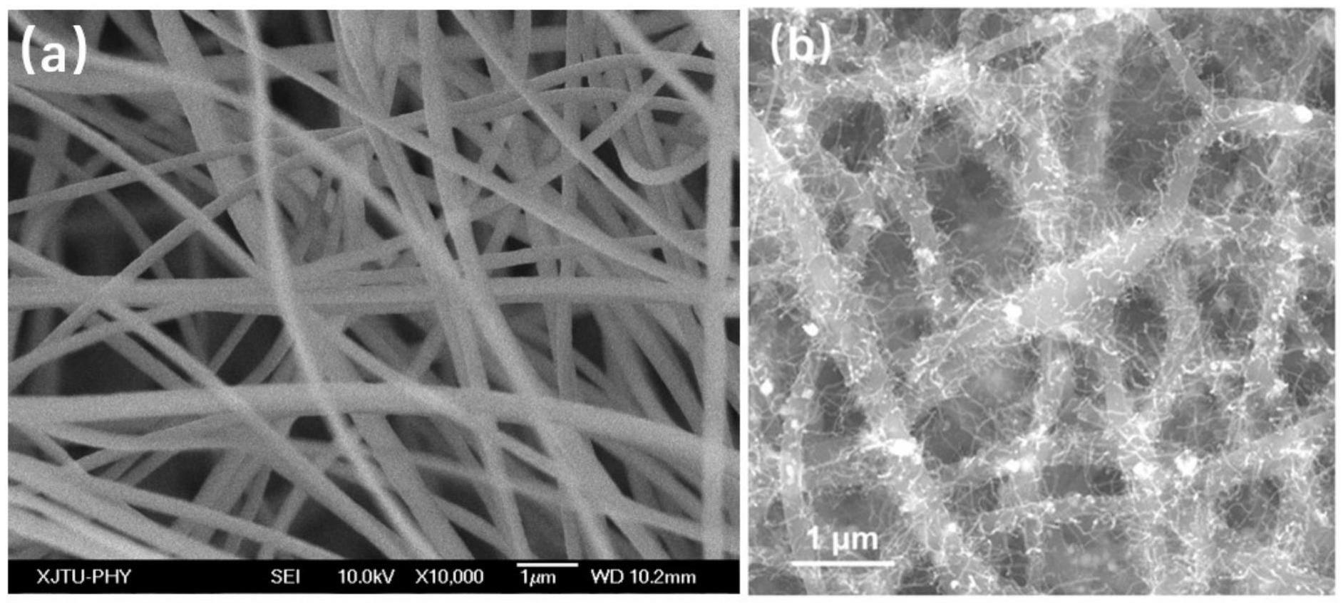 一种多孔碳纤维-碳纳米管三维网络骨架薄膜及其制备方法