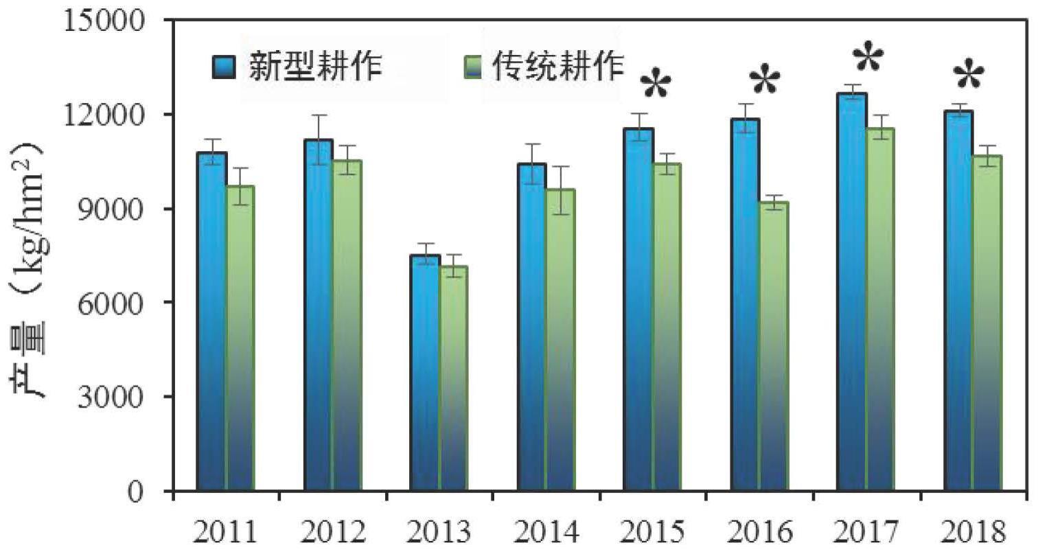 一种提升地力的玉米绿色保护性耕作方法