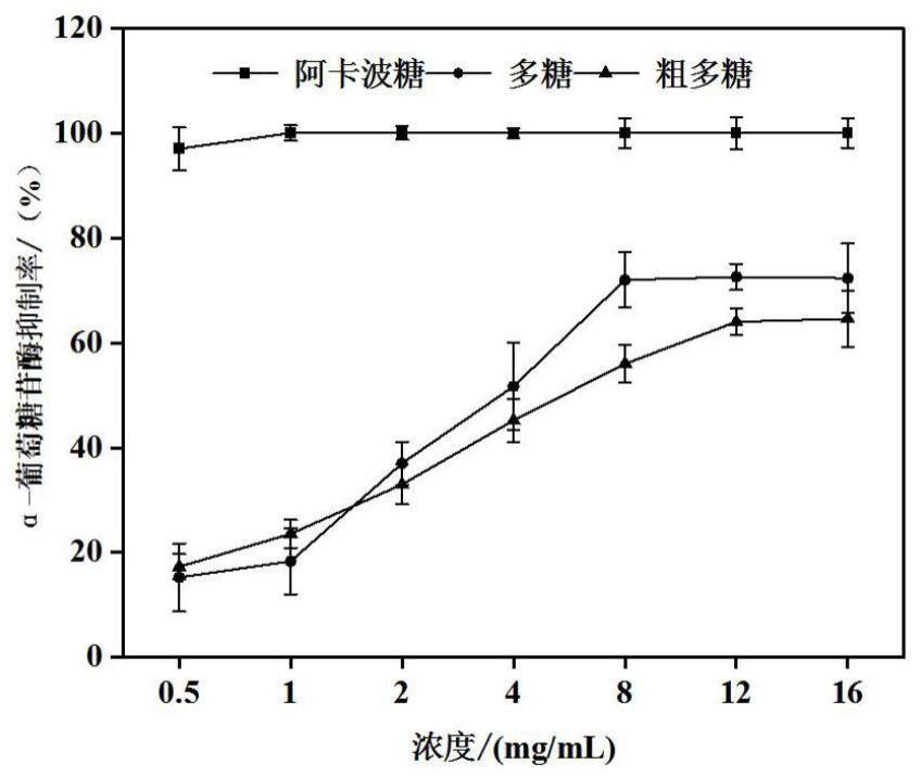 一种桦褐孔菌粗、纯多糖及其制备方法与应用