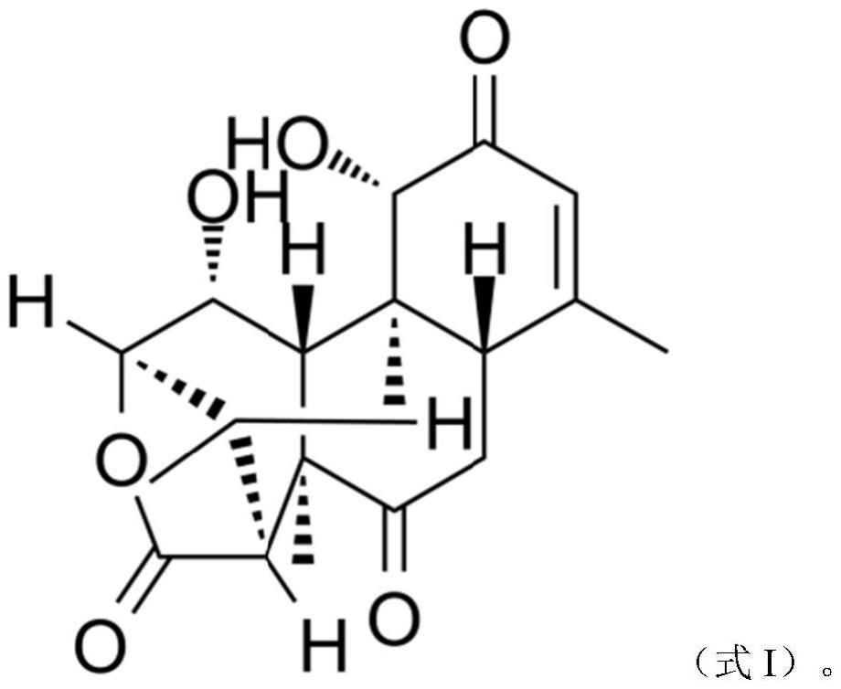 东革内酯在制备抑制白色念珠菌产品中的应用