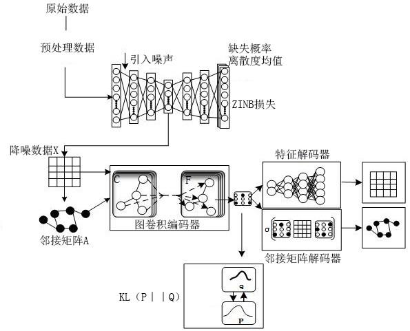 一种基于图卷积神经网络的RNA分层嵌入聚类方法与流程