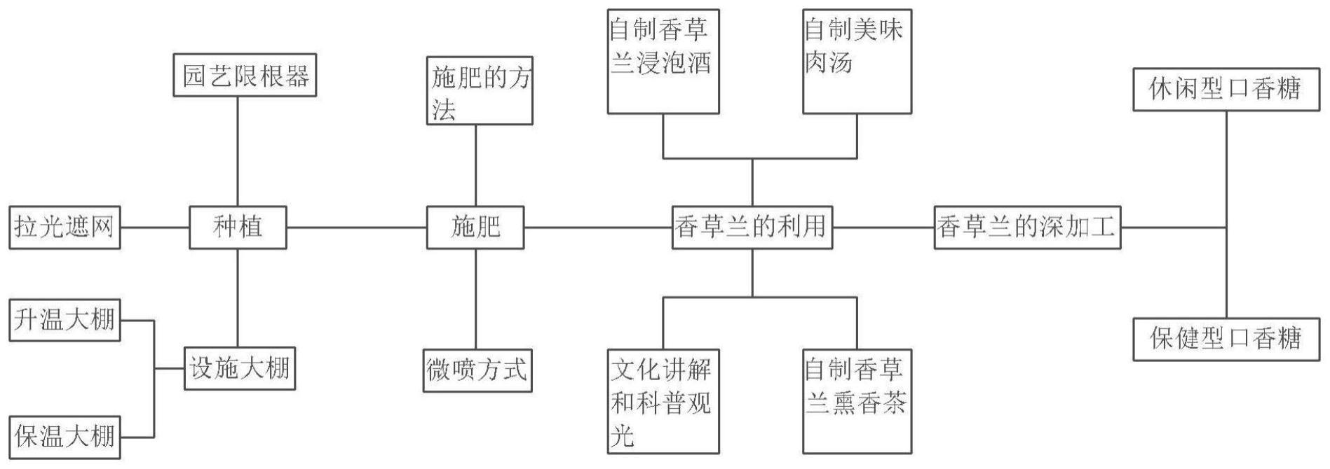 一种香草兰种植及拓展农业功能的方法