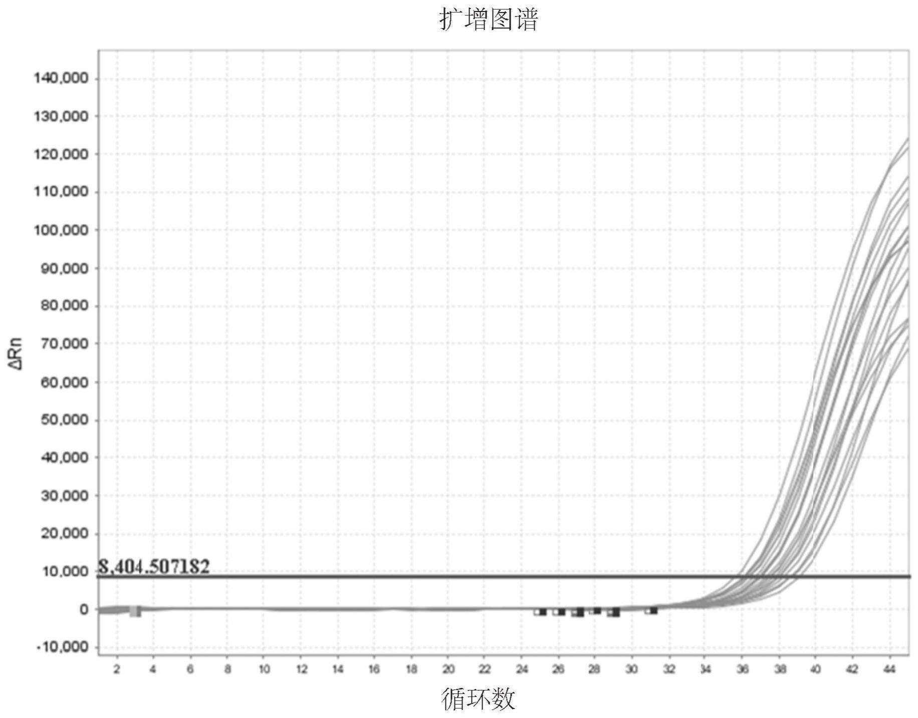 基于数字PCR检测鼻咽癌中EB病毒的引物探针组合的制作方法